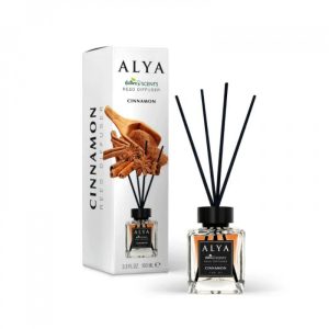 ALYA ΑΡΩΜΑΤΙΚΟ ΧΩΡΟΥ CINNAMON 100ML - Image 1